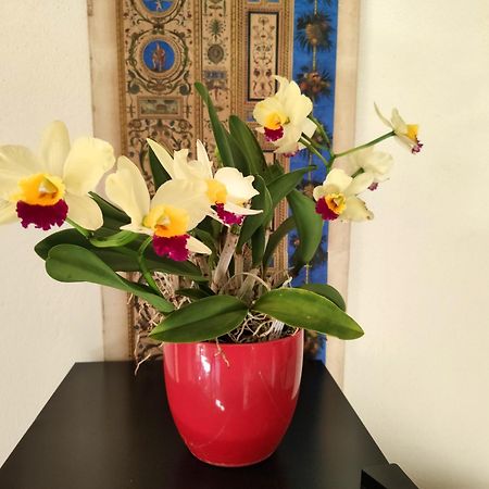 La Casa Nel Borgo Bed and Breakfast Piadena Εξωτερικό φωτογραφία