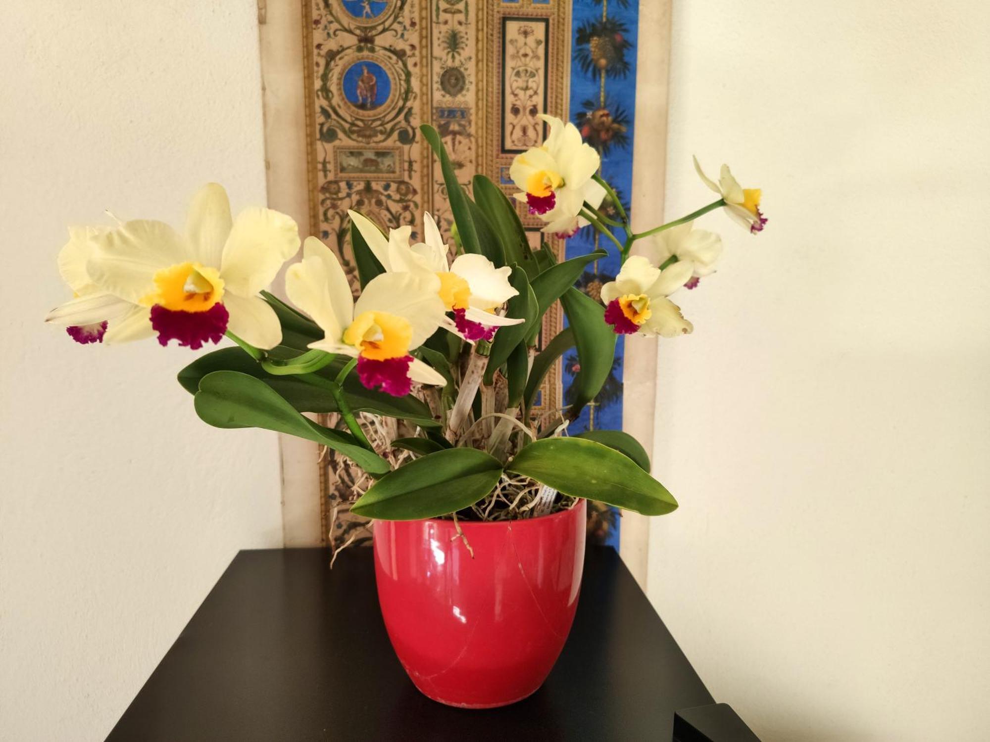 La Casa Nel Borgo Bed and Breakfast Piadena Εξωτερικό φωτογραφία